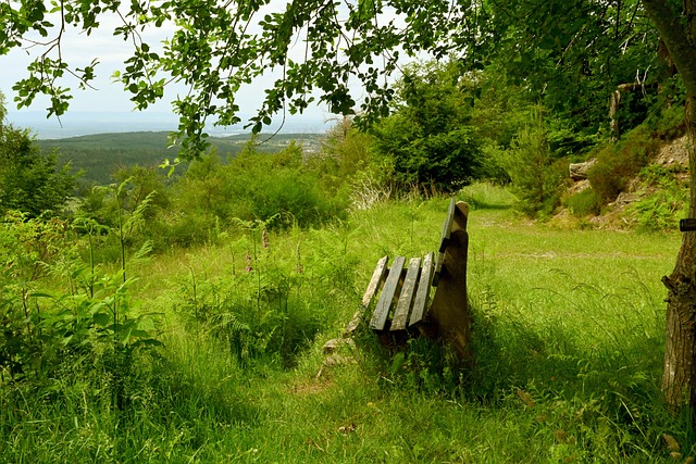 并不仅仅是 并不仅仅是