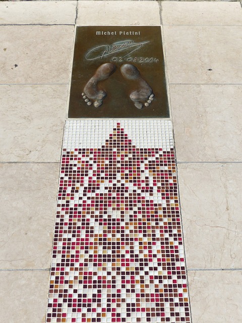 法甲的摩纳 法甲的摩纳